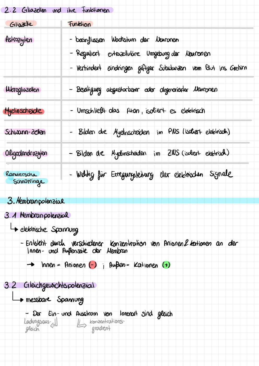 # NEUROBIOLOGIE

Vorabi am 30.11

1.  Überblick

1.1 Unterteilung des Nervensystems

ZNS
erhalten
leiten
PNS
(Zentraks nervensystem)
(periph