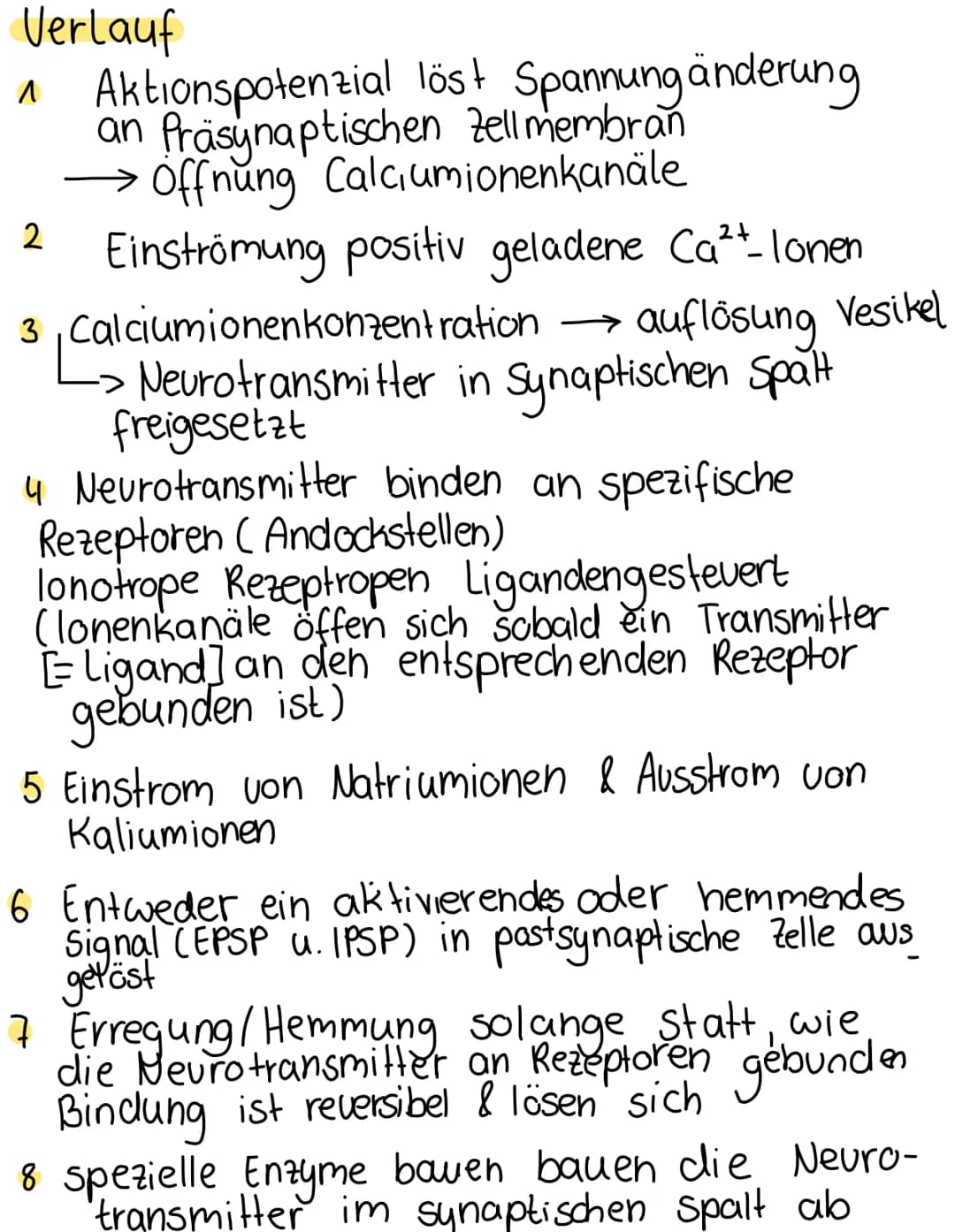 Chemische
synapse
Definition
Verknüpfung einer Nervenzelle mit einer
anderen zelle (Informationsübertragung)
elektrische & chemische Übertra