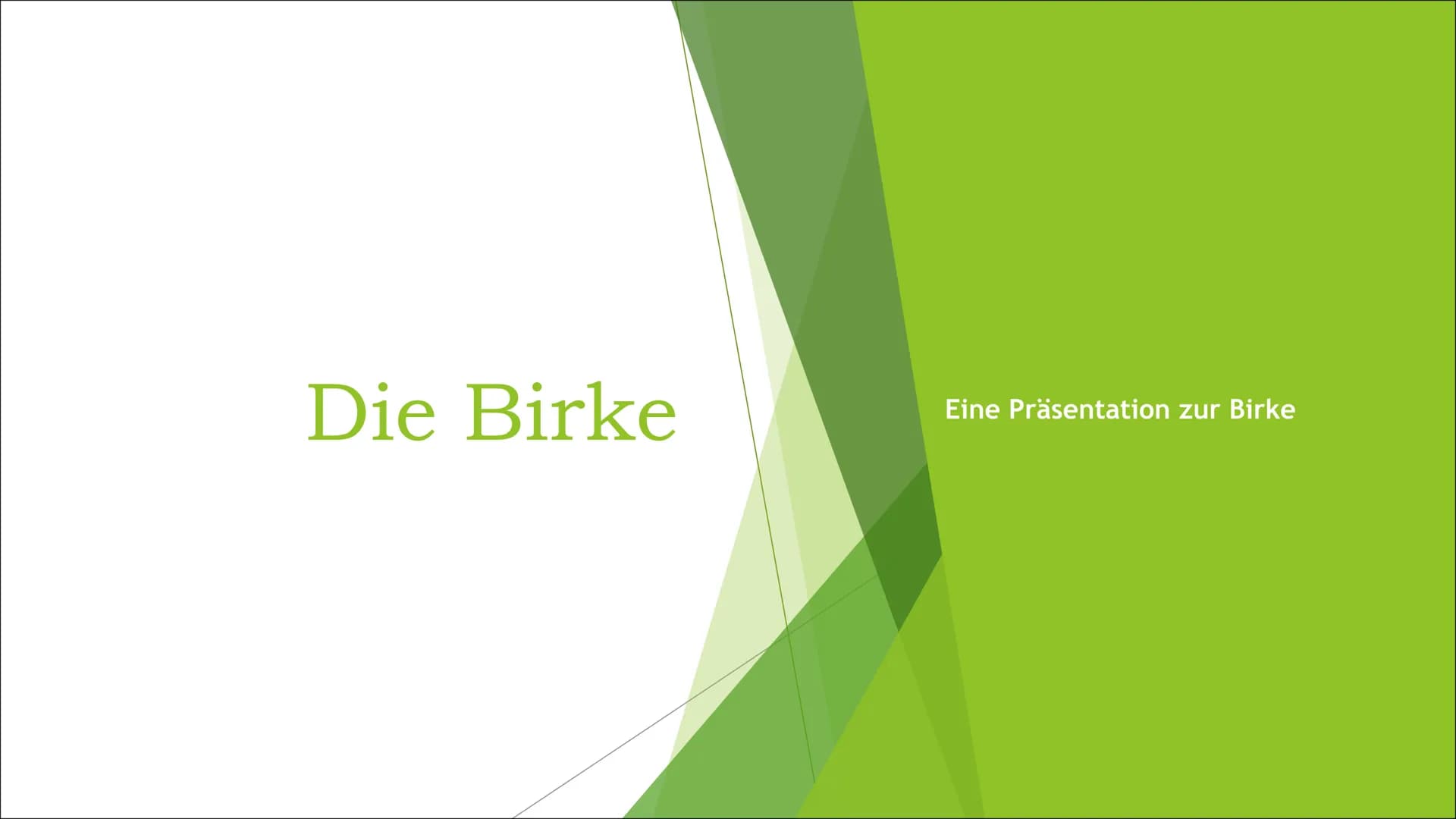 Die Birke
Eine Präsentation zur Birke Zusammenfassung der Birke
Die Präsentation des
Themas,Die Birke", handelt
von z.B. den Besonderheiten,