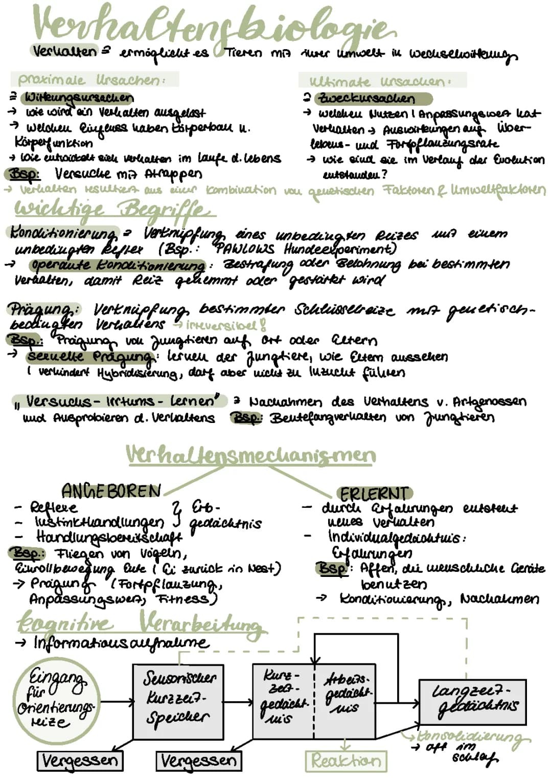 Verhaltensbiologie 