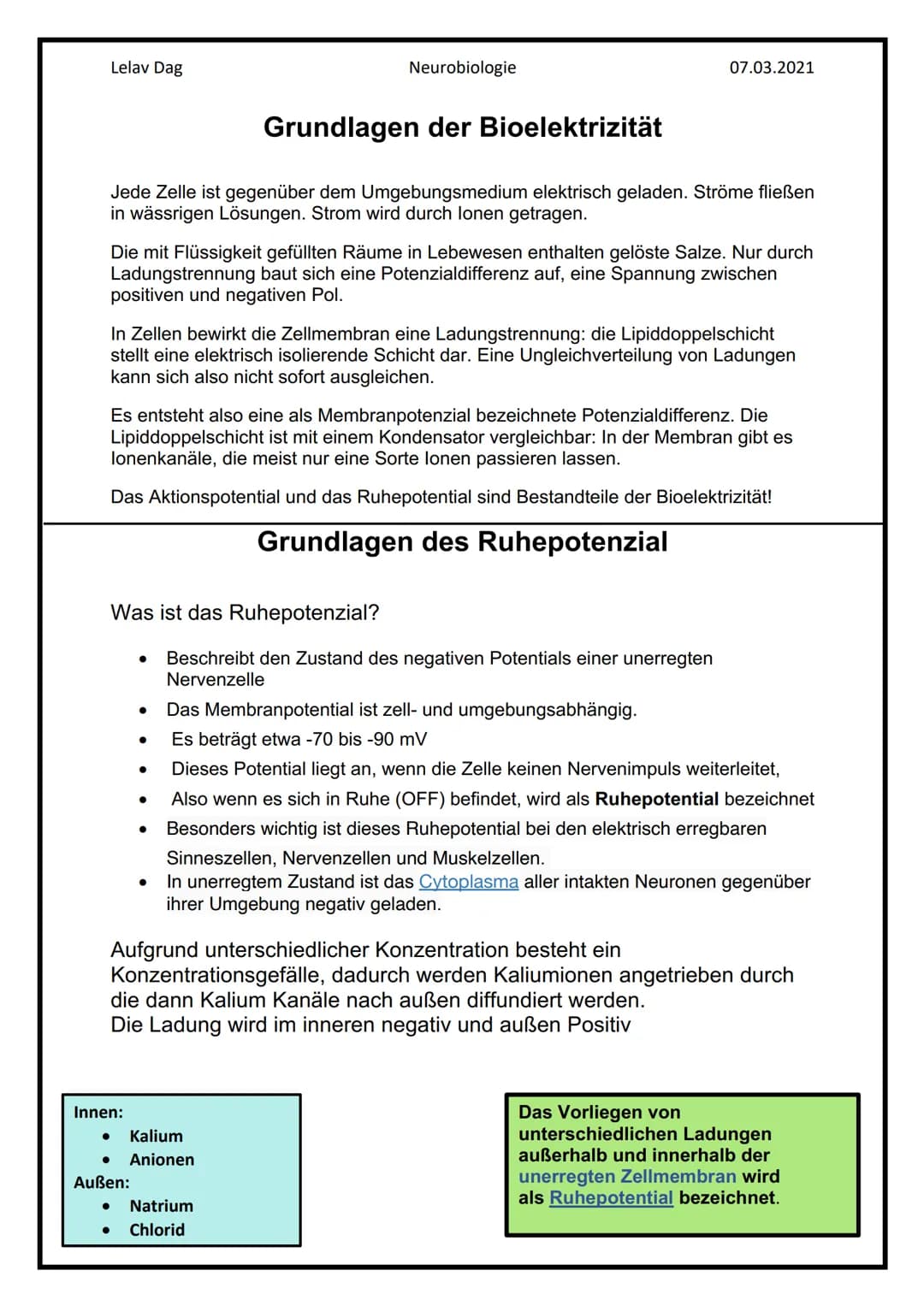 Lelav Dag
●
Das Nervensystem
Das Nervensystem umfasst alle Nervenzellen des menschlichen Körpers.
Mit ihm kommuniziert er mit der Umwelt und