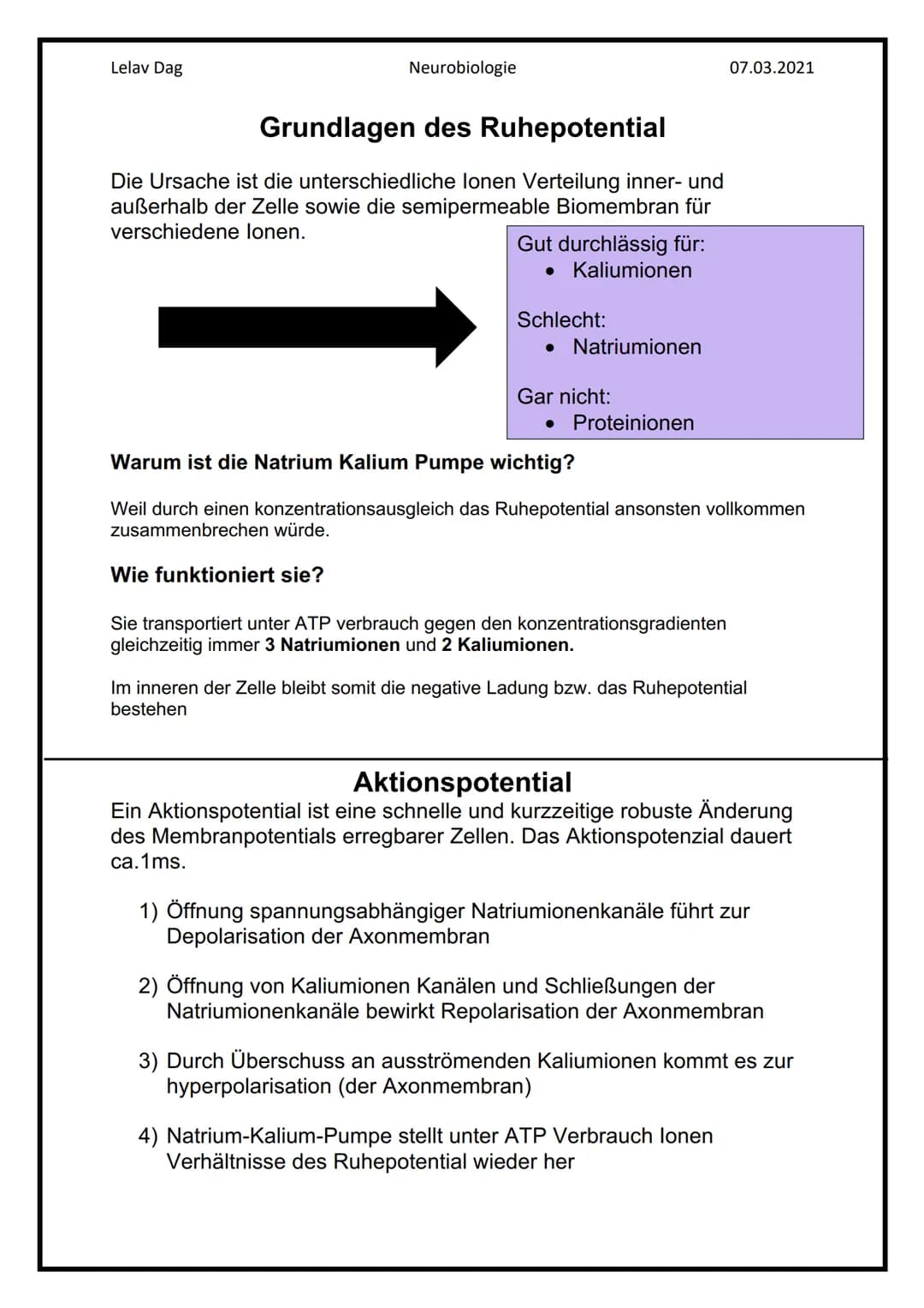 Lelav Dag
●
Das Nervensystem
Das Nervensystem umfasst alle Nervenzellen des menschlichen Körpers.
Mit ihm kommuniziert er mit der Umwelt und