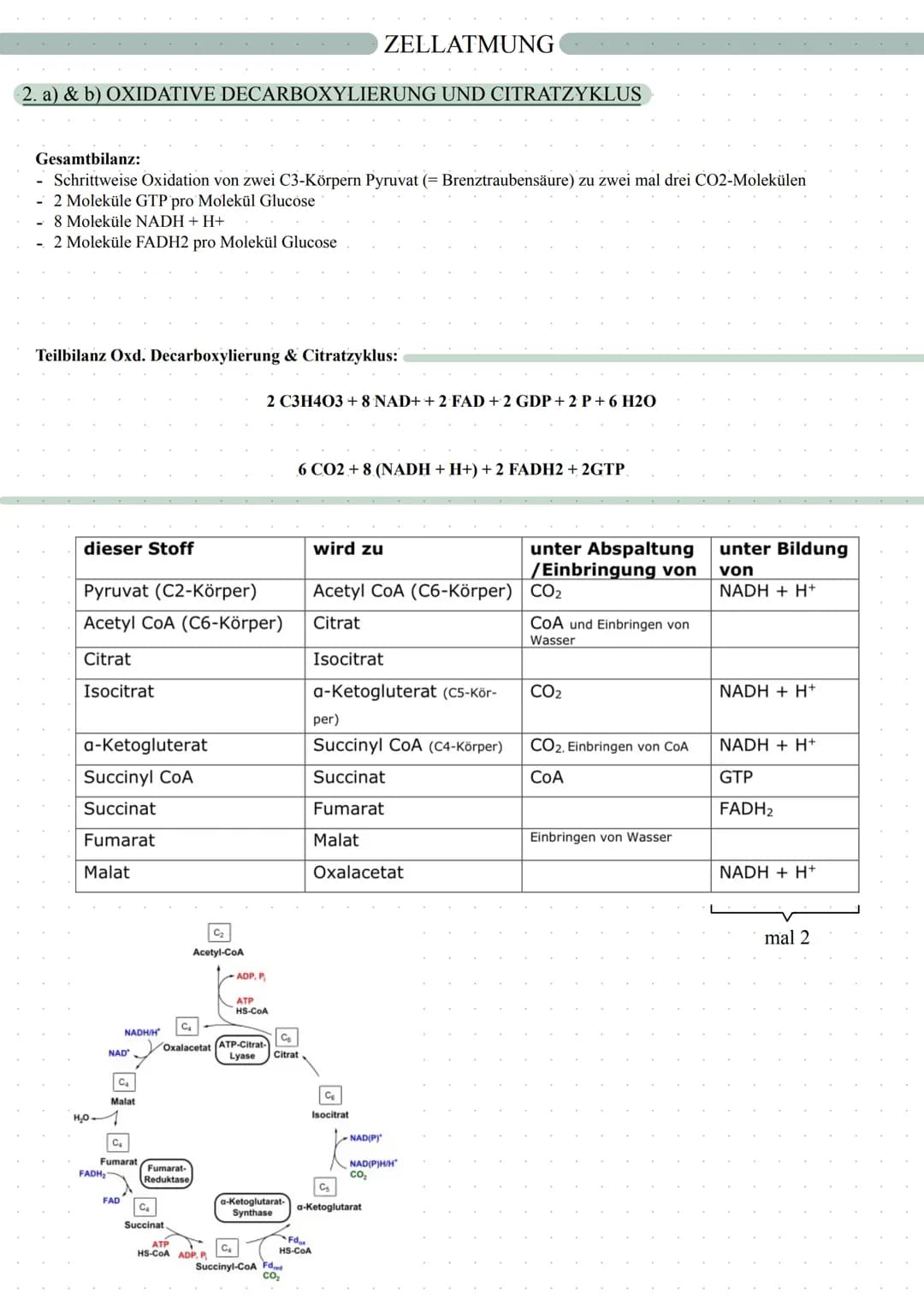 autotrophe Assimilation
CO2 => 02
Aufbau von Glucose
Fotosynthese
in 2 Schritten:
1. Lichtabhängige Reaktion
2. Lichtunabhängige Reaktion
in