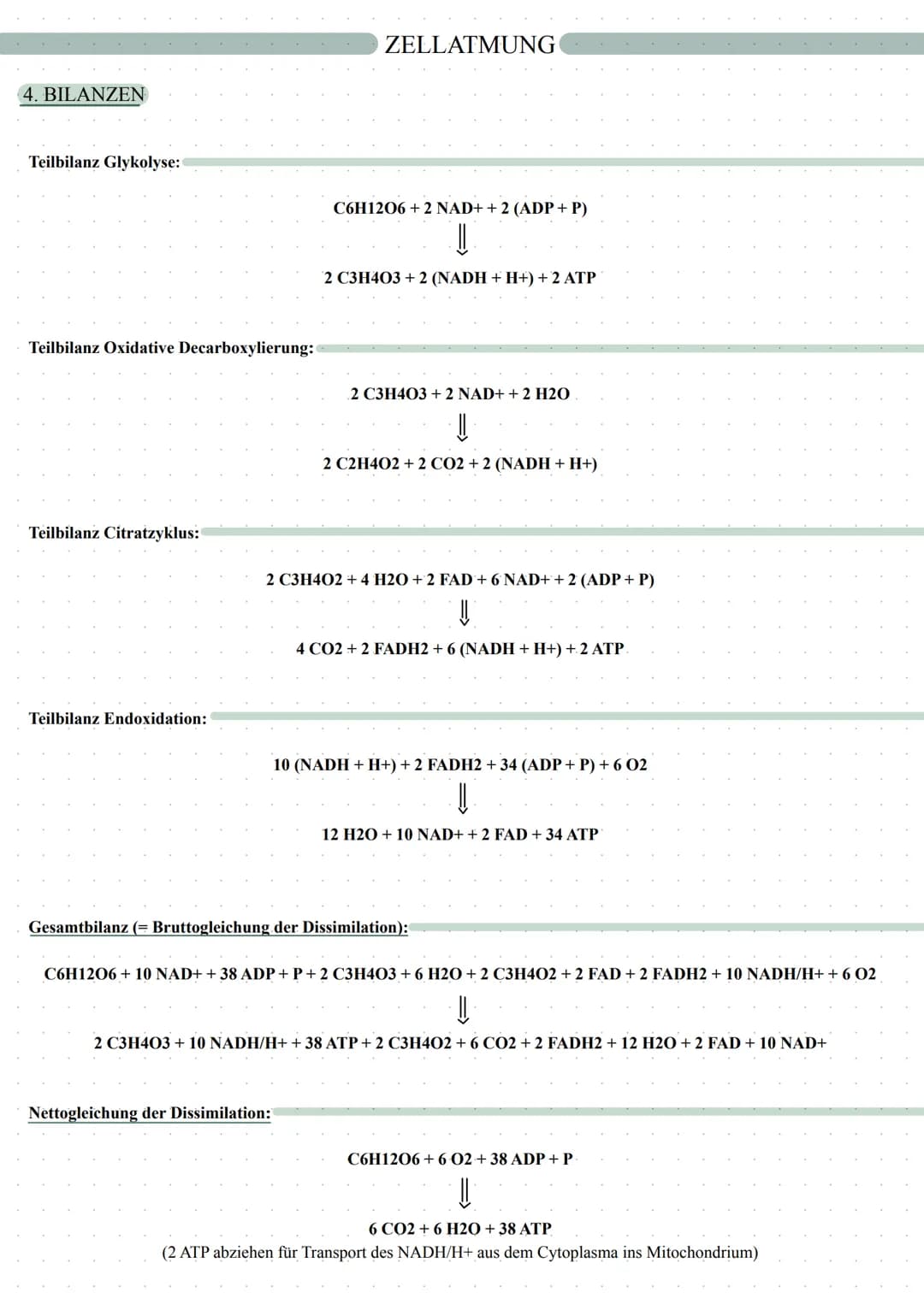 autotrophe Assimilation
CO2 => 02
Aufbau von Glucose
Fotosynthese
in 2 Schritten:
1. Lichtabhängige Reaktion
2. Lichtunabhängige Reaktion
in