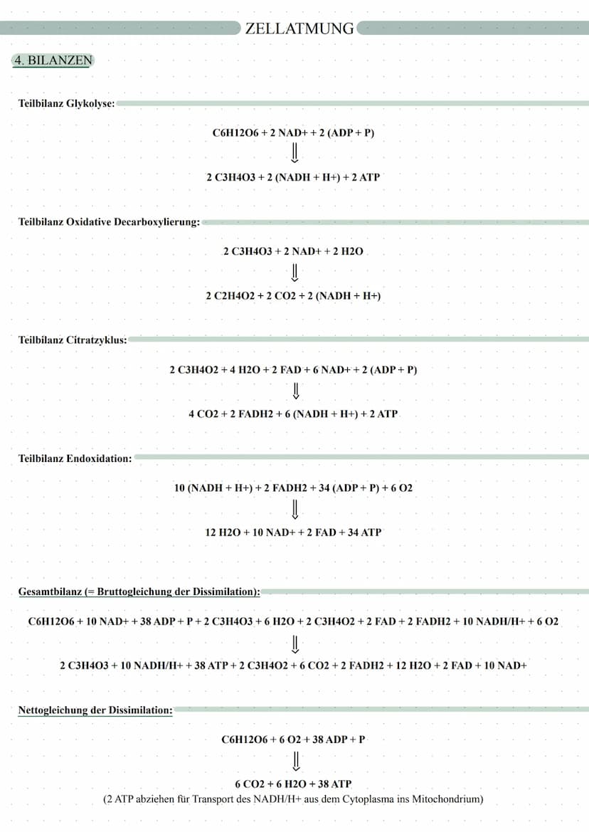 autotrophe Assimilation
CO2 => 02
Aufbau von Glucose
Fotosynthese
in 2 Schritten:
1. Lichtabhängige Reaktion
2. Lichtunabhängige Reaktion
in