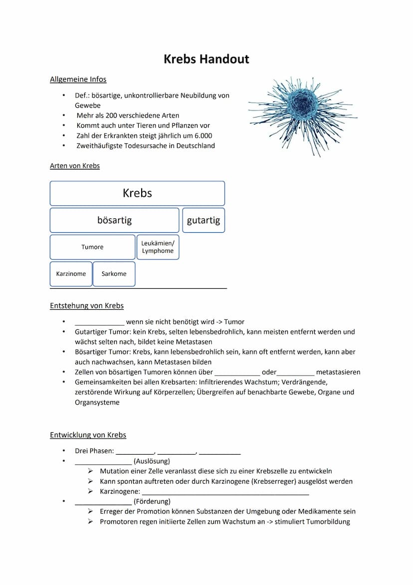 Allgemeine Infos
●
●
.
Arten von Krebs
Def.: bösartige, unkontrollierbare Neubildung von
Gewebe
Mehr als 200 verschiedene Arten
Kommt auch u
