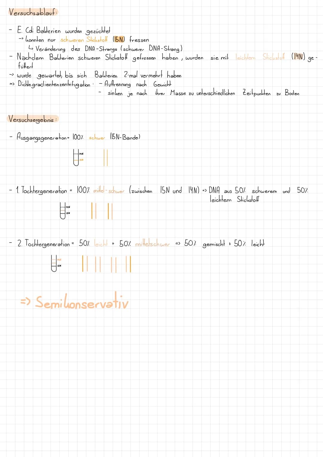 Nucleotid Grundbaustein der DNA
L>besteht aus:
- Zucker (Desoxyribose)
Phosphatgruppe gebunden
Base (gebunden
Schluss:
U.
=
am Zucker):
so w