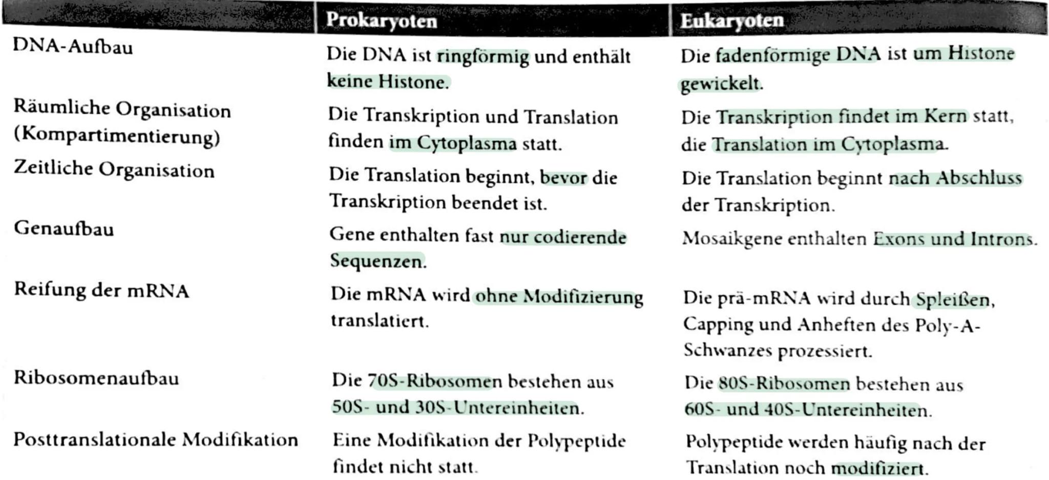 Abitur
Biologie
0² Von der DNA zum Protein
Aufbau der DNA
Desoxyribonukleinsäure (DNS)
Träger der Erbinformation
enthält Informationen einer