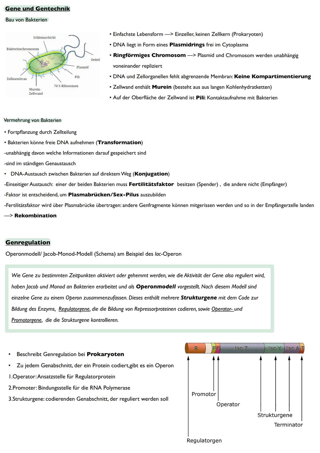 Abitur
Biologie
0² Von der DNA zum Protein
Aufbau der DNA
Desoxyribonukleinsäure (DNS)
Träger der Erbinformation
enthält Informationen einer