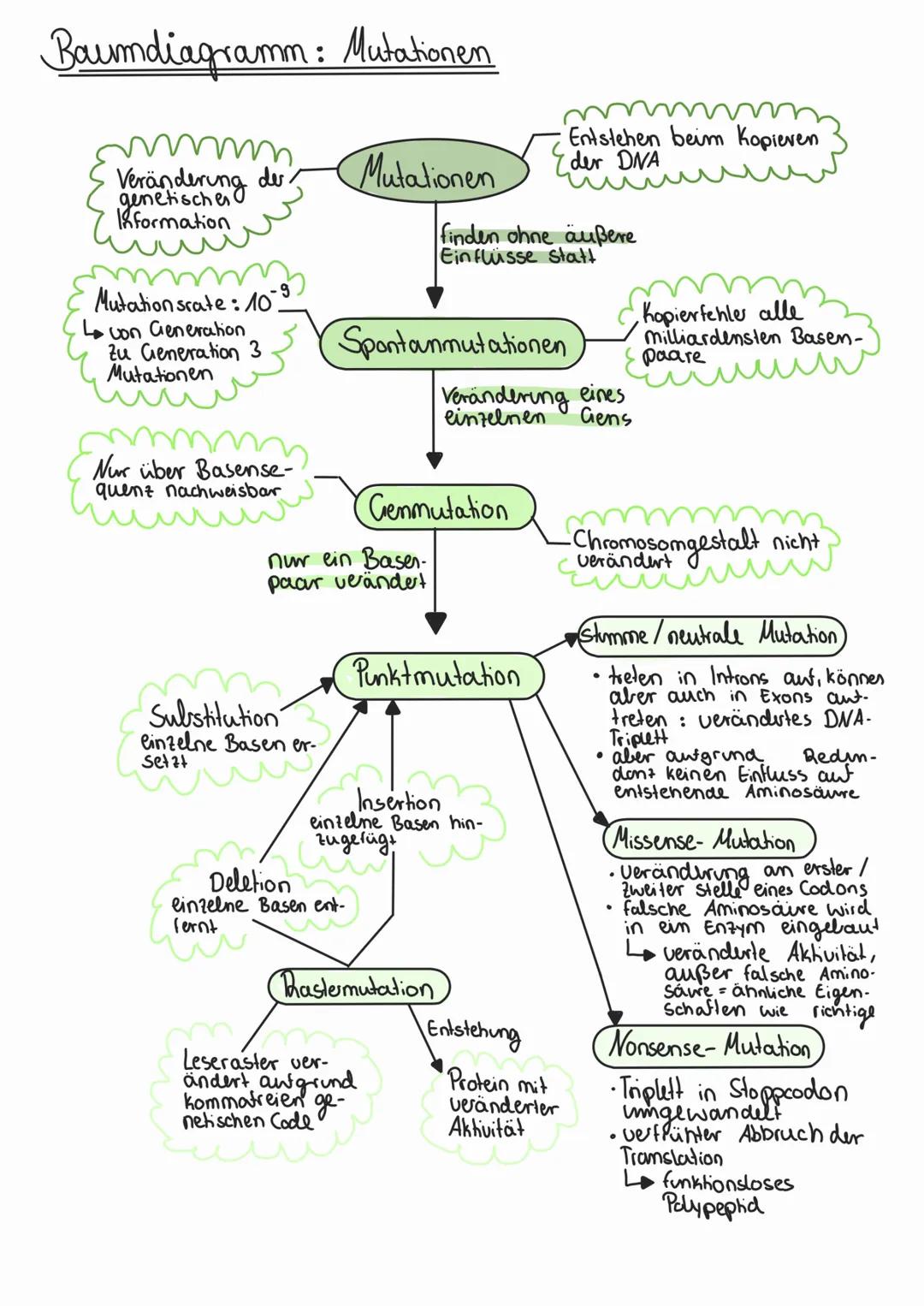 Abitur
Biologie
0² Von der DNA zum Protein
Aufbau der DNA
Desoxyribonukleinsäure (DNS)
Träger der Erbinformation
enthält Informationen einer