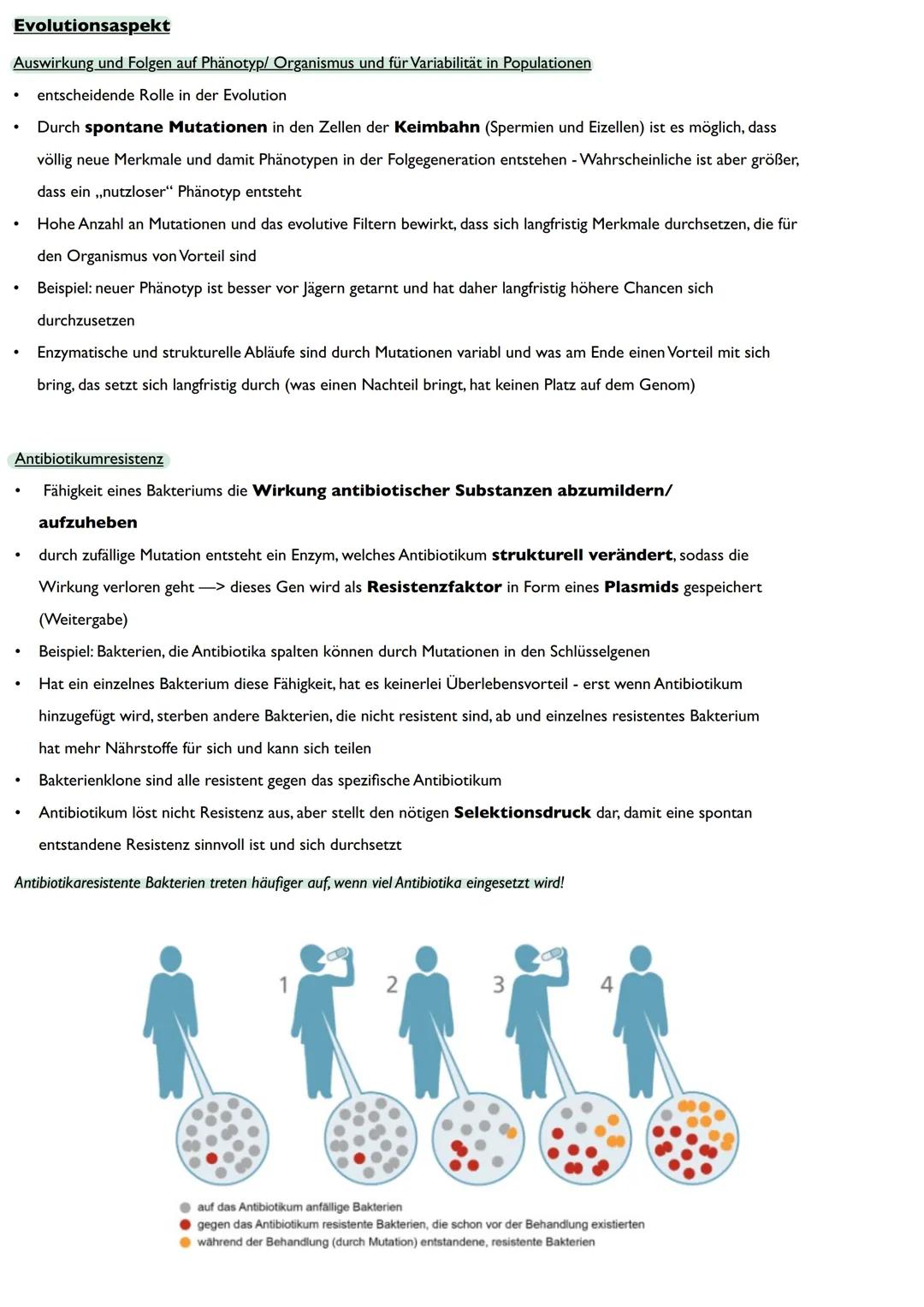 Abitur
Biologie
0² Von der DNA zum Protein
Aufbau der DNA
Desoxyribonukleinsäure (DNS)
Träger der Erbinformation
enthält Informationen einer