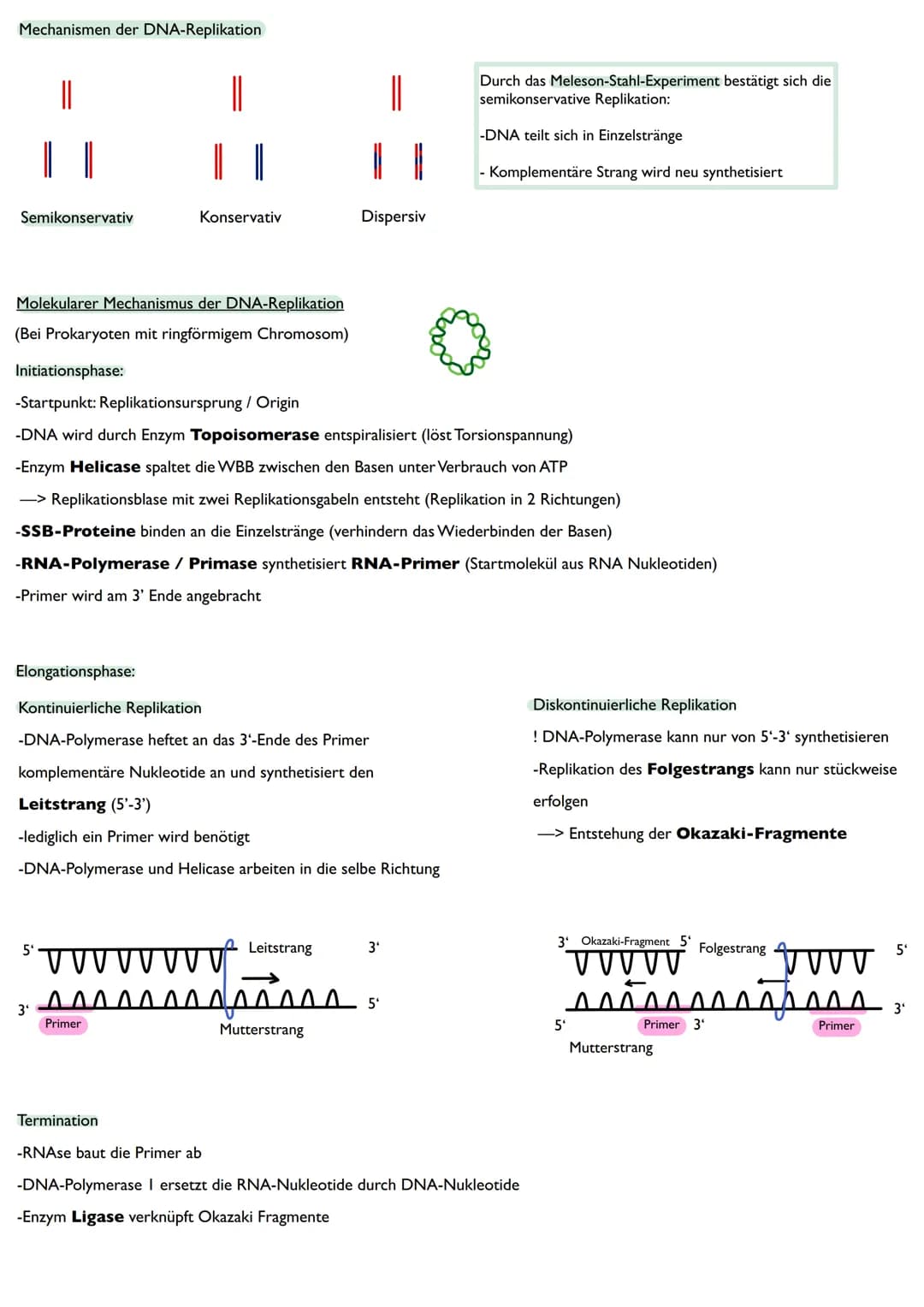 Abitur
Biologie
0² Von der DNA zum Protein
Aufbau der DNA
Desoxyribonukleinsäure (DNS)
Träger der Erbinformation
enthält Informationen einer