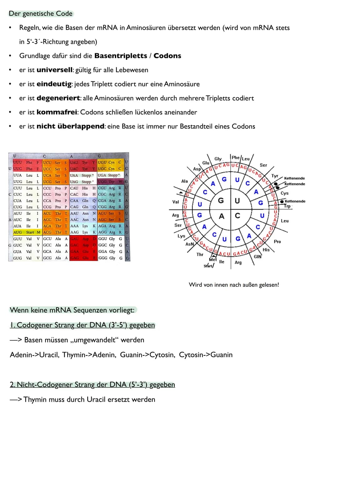 Abitur
Biologie
0² Von der DNA zum Protein
Aufbau der DNA
Desoxyribonukleinsäure (DNS)
Träger der Erbinformation
enthält Informationen einer