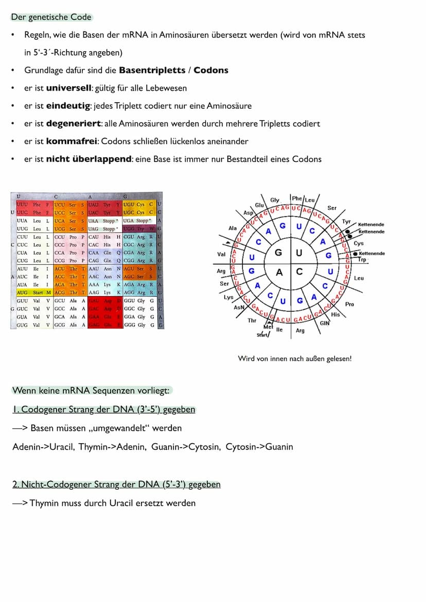 Abitur
Biologie
0² Von der DNA zum Protein
Aufbau der DNA
Desoxyribonukleinsäure (DNS)
Träger der Erbinformation
enthält Informationen einer