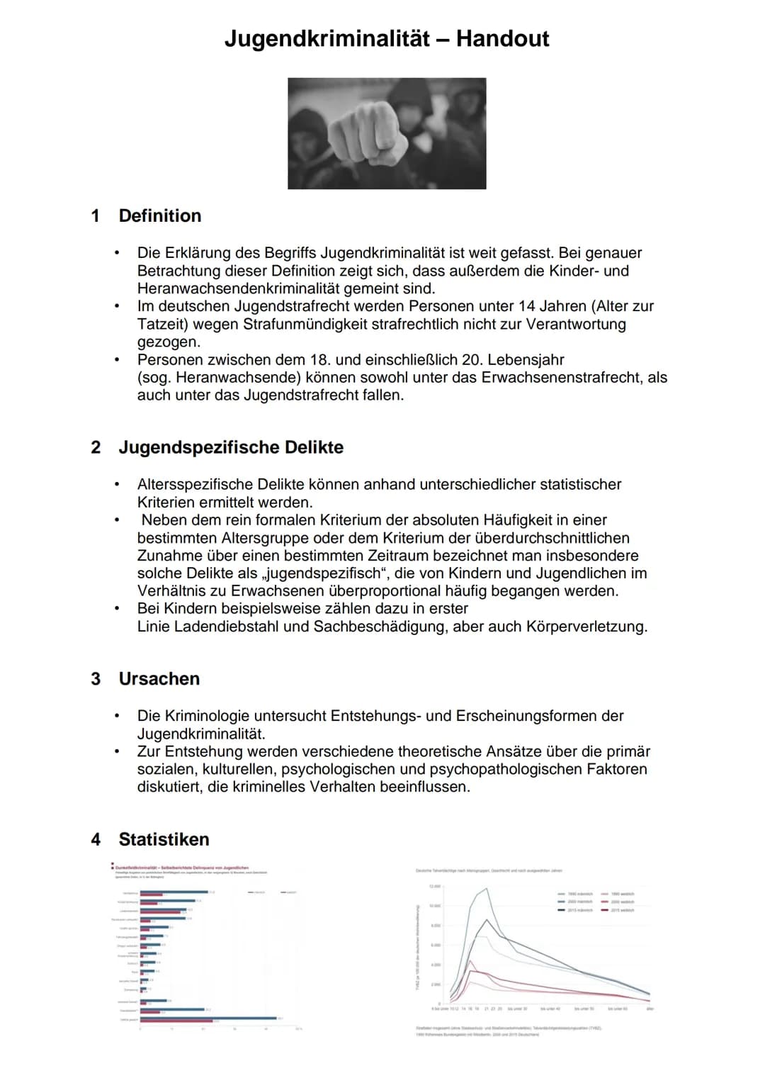 Jugendkriminalität
1 1 Definition
Die Erklärung des Begriffs Jugendkriminalität ist weit gefasst. Bei genauer
Betrachtung dieser Definition 