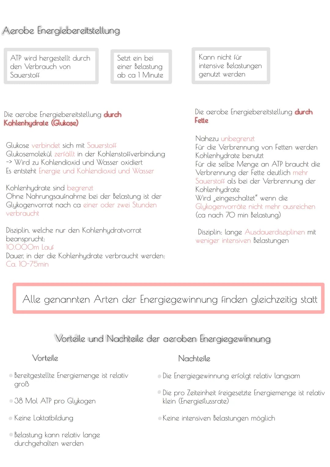 Energiebereitstellung
Anaerobe Energiebereitstellung
ATP ist der einzige Energielieferant. Die
anderen Speicher dienen NUR zum
Auffüllen von