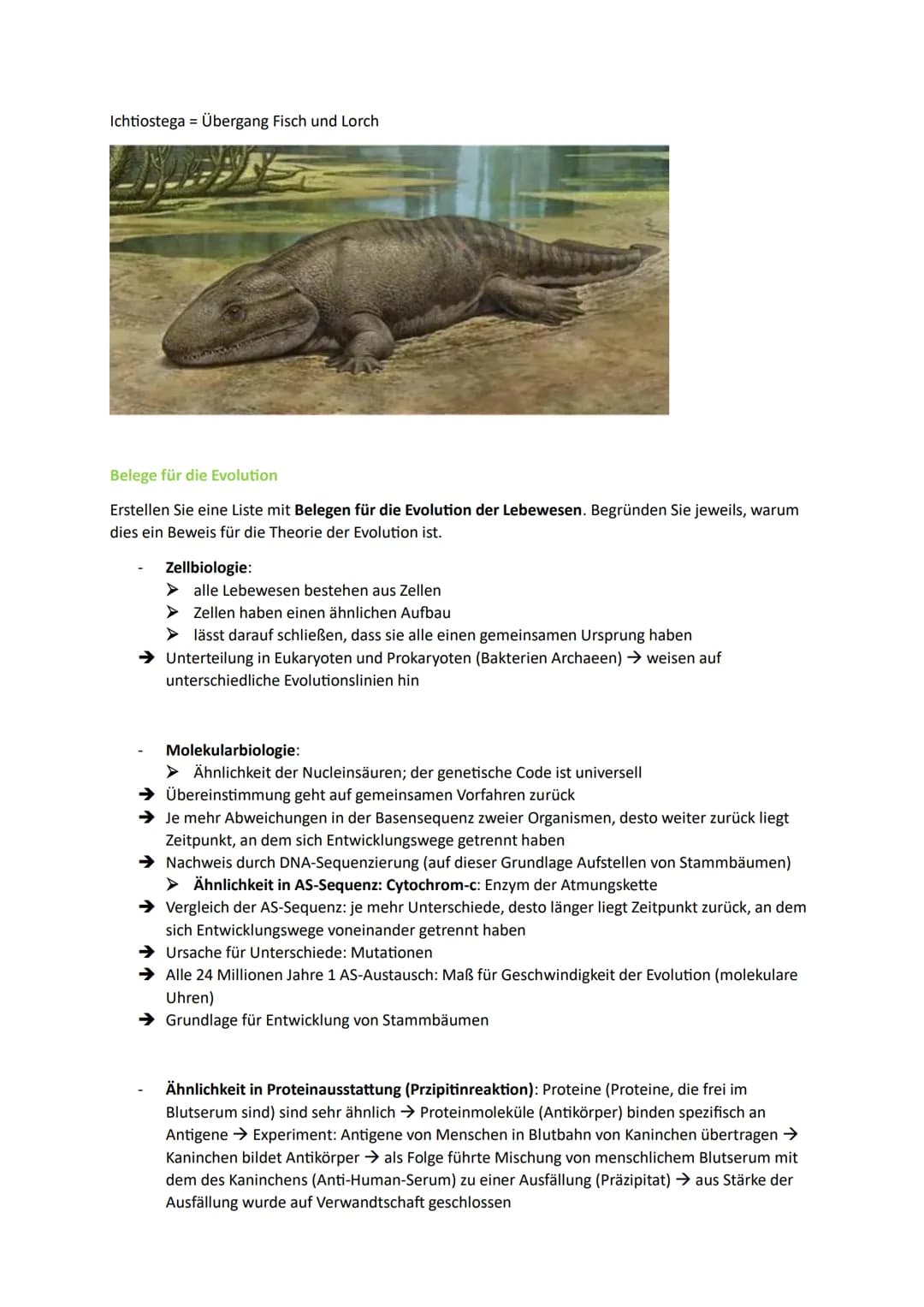 1. Die Synthetische Evolutionstheorie
1.1. Artenvielfalt
Morphologischer Artbegriff:
➜Gruppe von Individuen, die in wesentlichen Merkmalen ü
