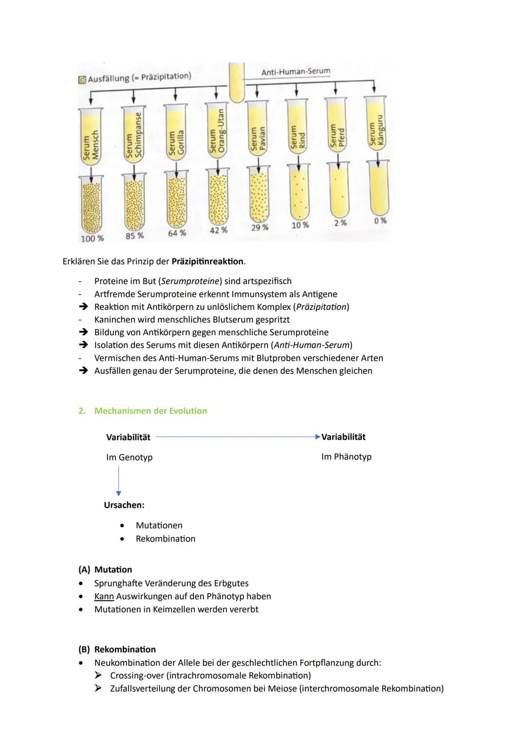 1. Die Synthetische Evolutionstheorie
1.1. Artenvielfalt
Morphologischer Artbegriff:
➜Gruppe von Individuen, die in wesentlichen Merkmalen ü