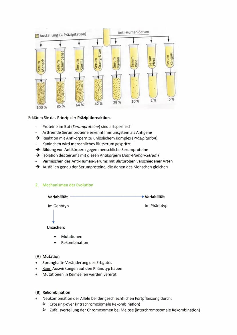 1. Die Synthetische Evolutionstheorie
1.1. Artenvielfalt
Morphologischer Artbegriff:
➜Gruppe von Individuen, die in wesentlichen Merkmalen ü