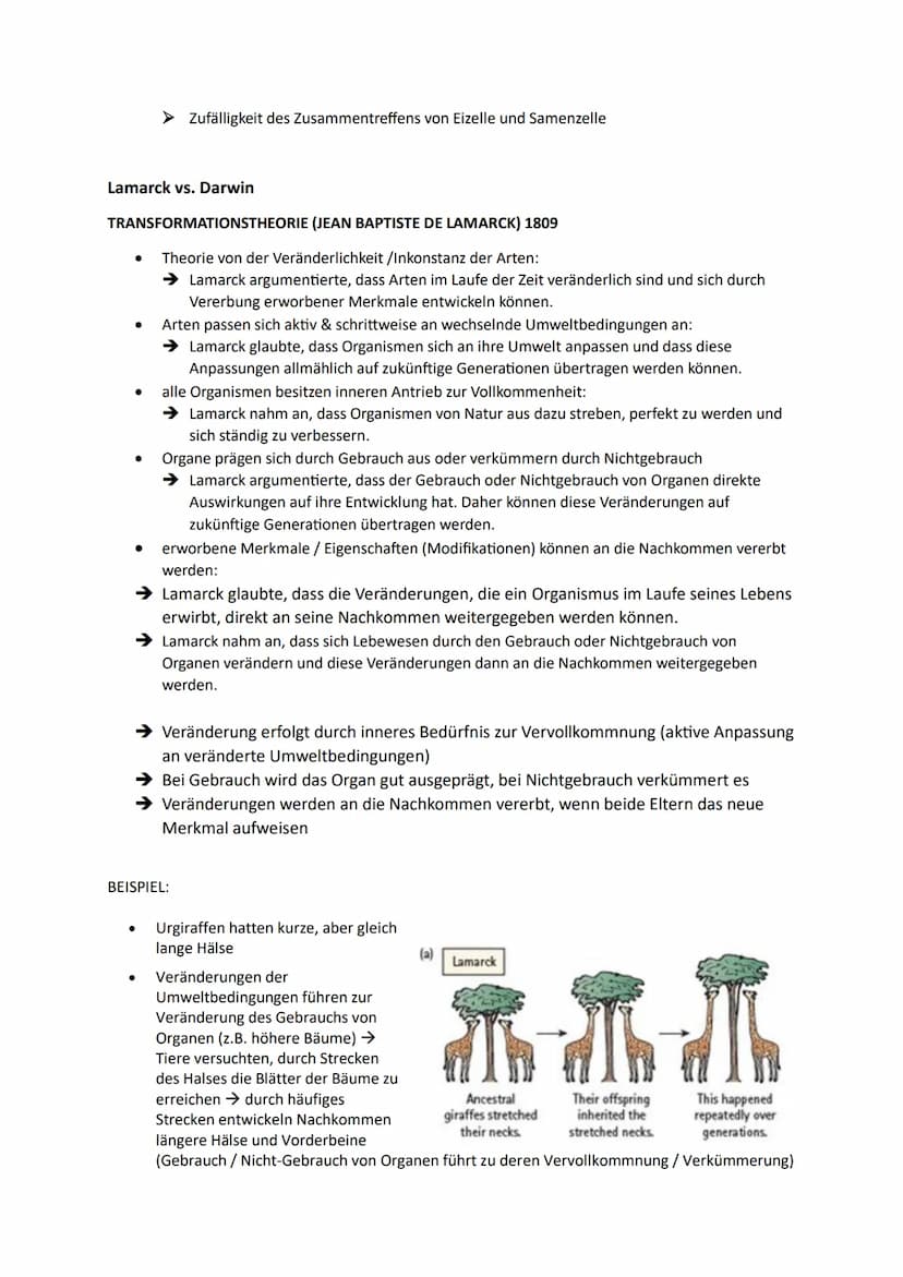 1. Die Synthetische Evolutionstheorie
1.1. Artenvielfalt
Morphologischer Artbegriff:
➜Gruppe von Individuen, die in wesentlichen Merkmalen ü