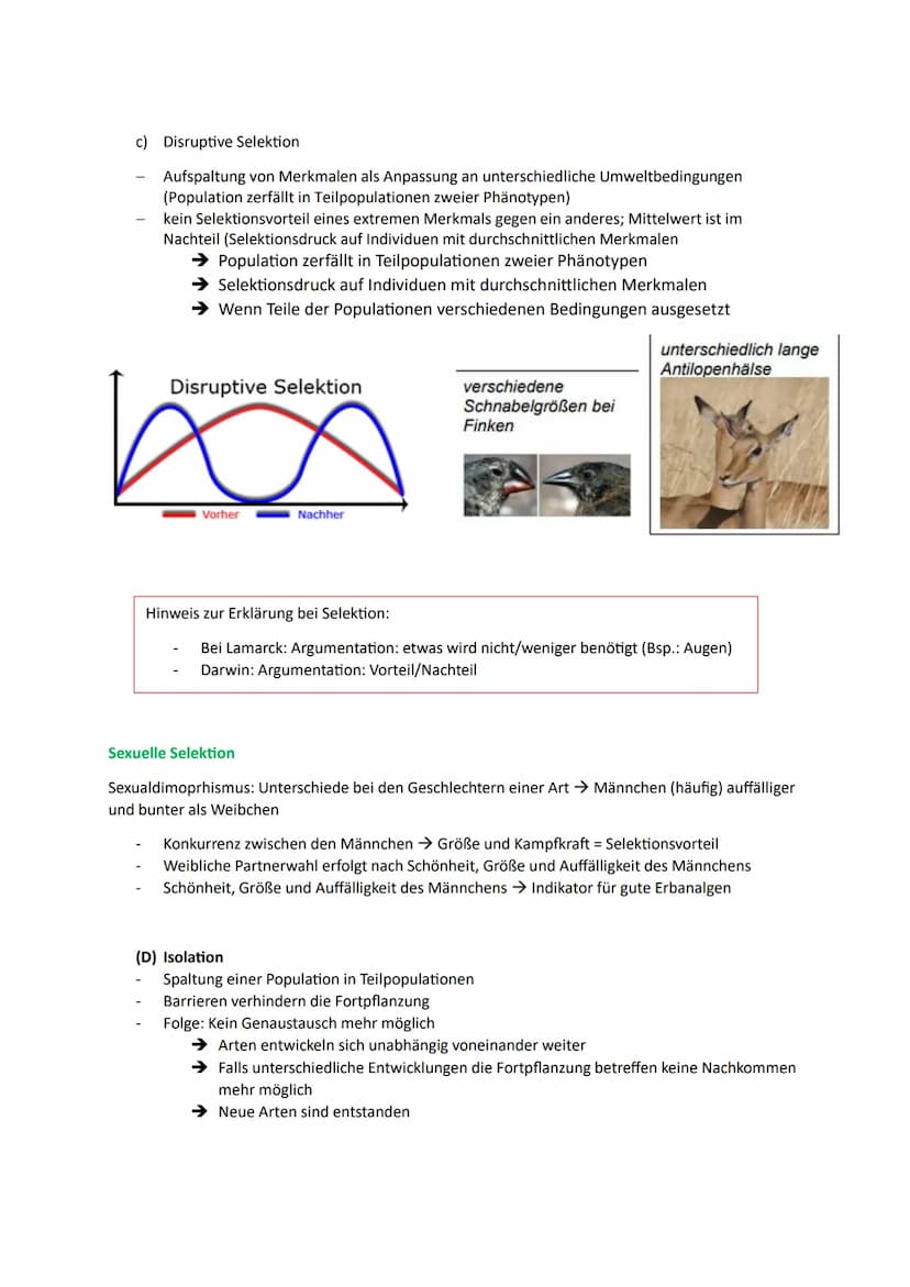 1. Die Synthetische Evolutionstheorie
1.1. Artenvielfalt
Morphologischer Artbegriff:
➜Gruppe von Individuen, die in wesentlichen Merkmalen ü