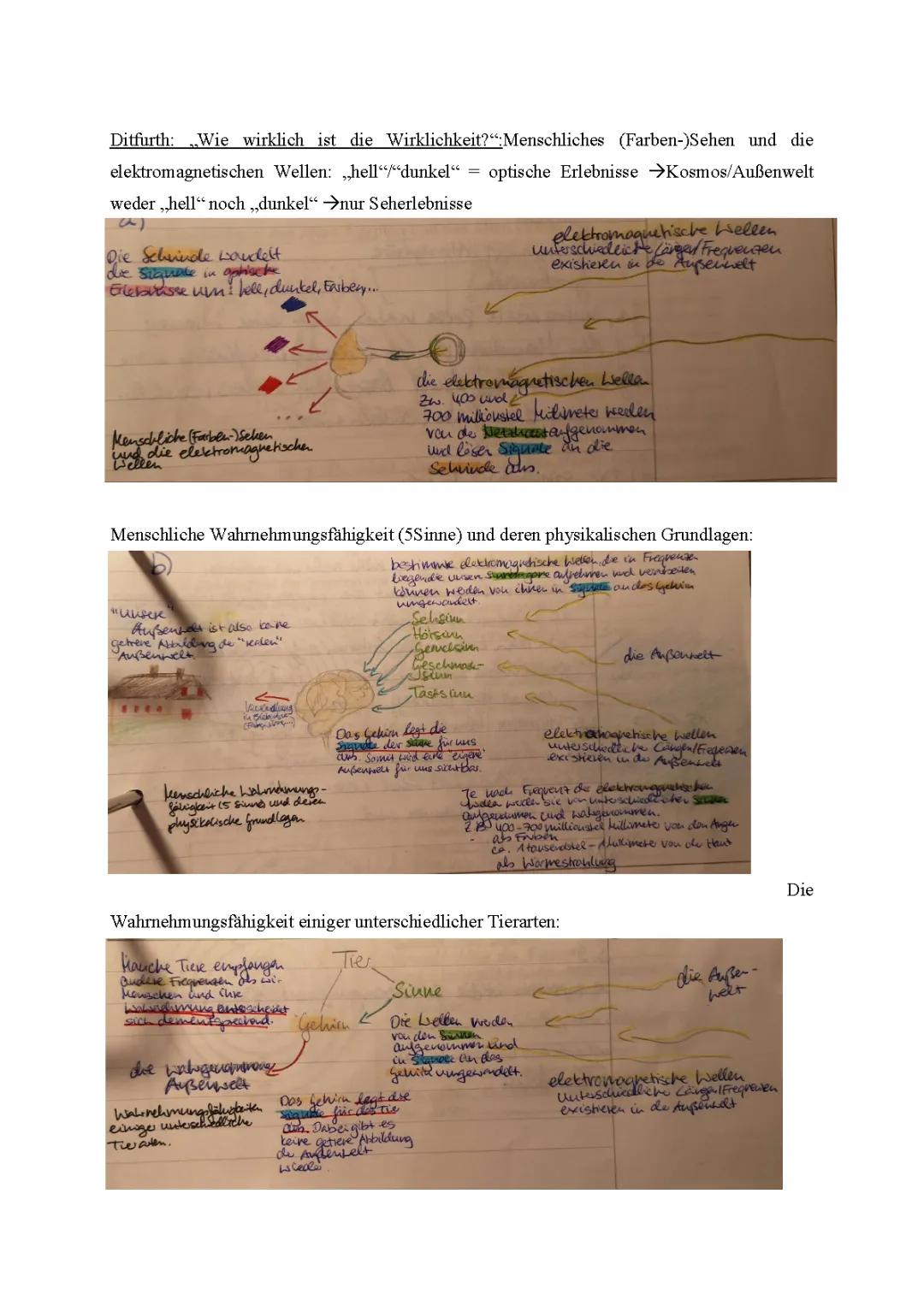 Erkenntnistheorien und Elektromagnetische Wellen: Ein Überblick für Schüler