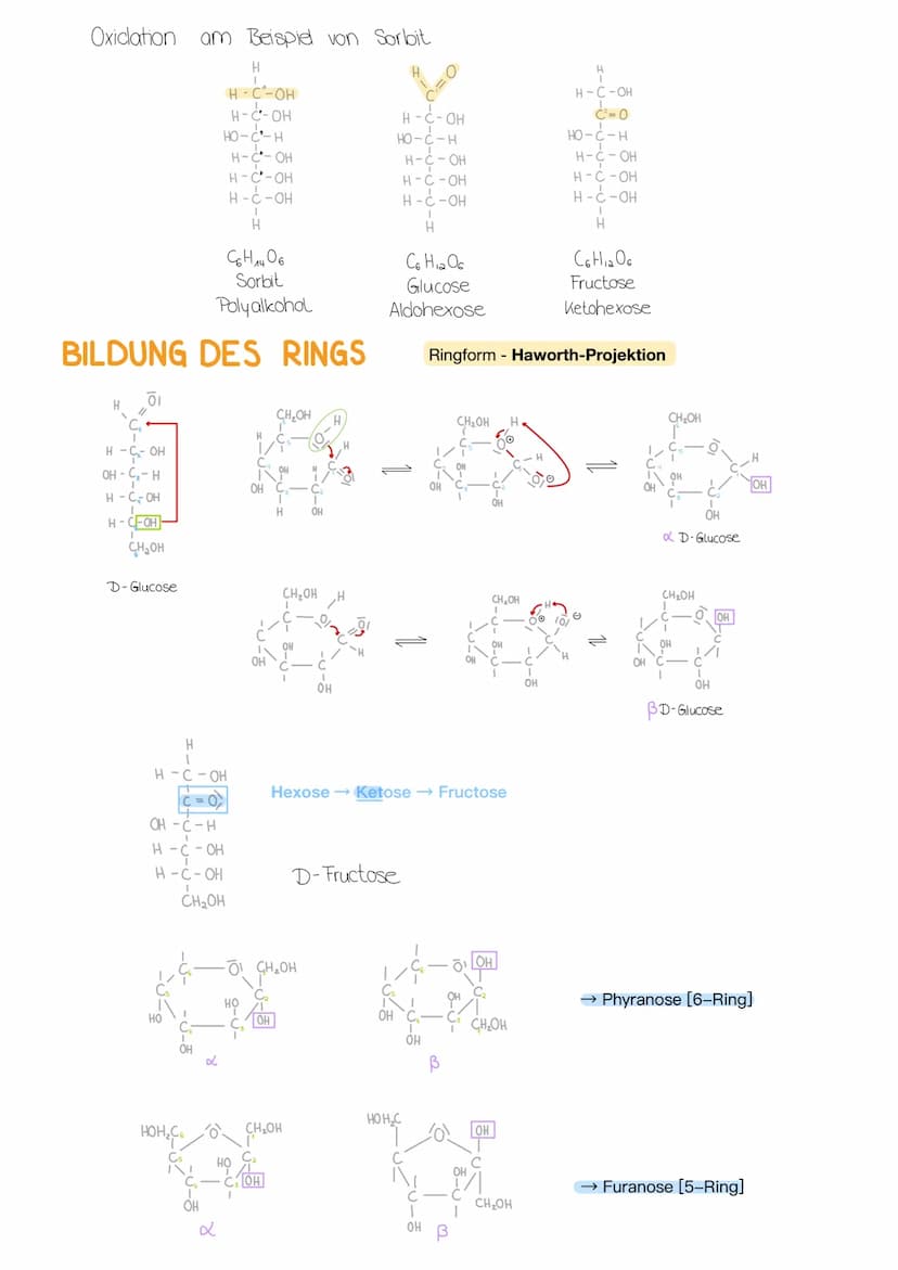 KOHLENHYDRATE
SPIEGELBILDISOMERE UND OPTISCHE AKTIVITÄT
Diese Art von Isomere bezeichnet man als Enantiomere oder
Spiegelbildisomere. Dabei 