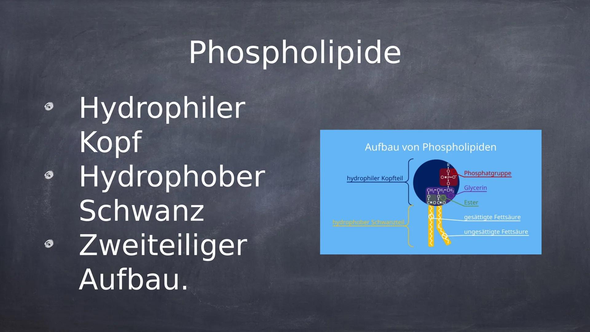 lipide Was sind Lipide?
Lipide sind in der Natur
vorkommende chemische
Verbindungen.
Lipide sind hydrophob und nicht in
Wasser löslich.
• Li