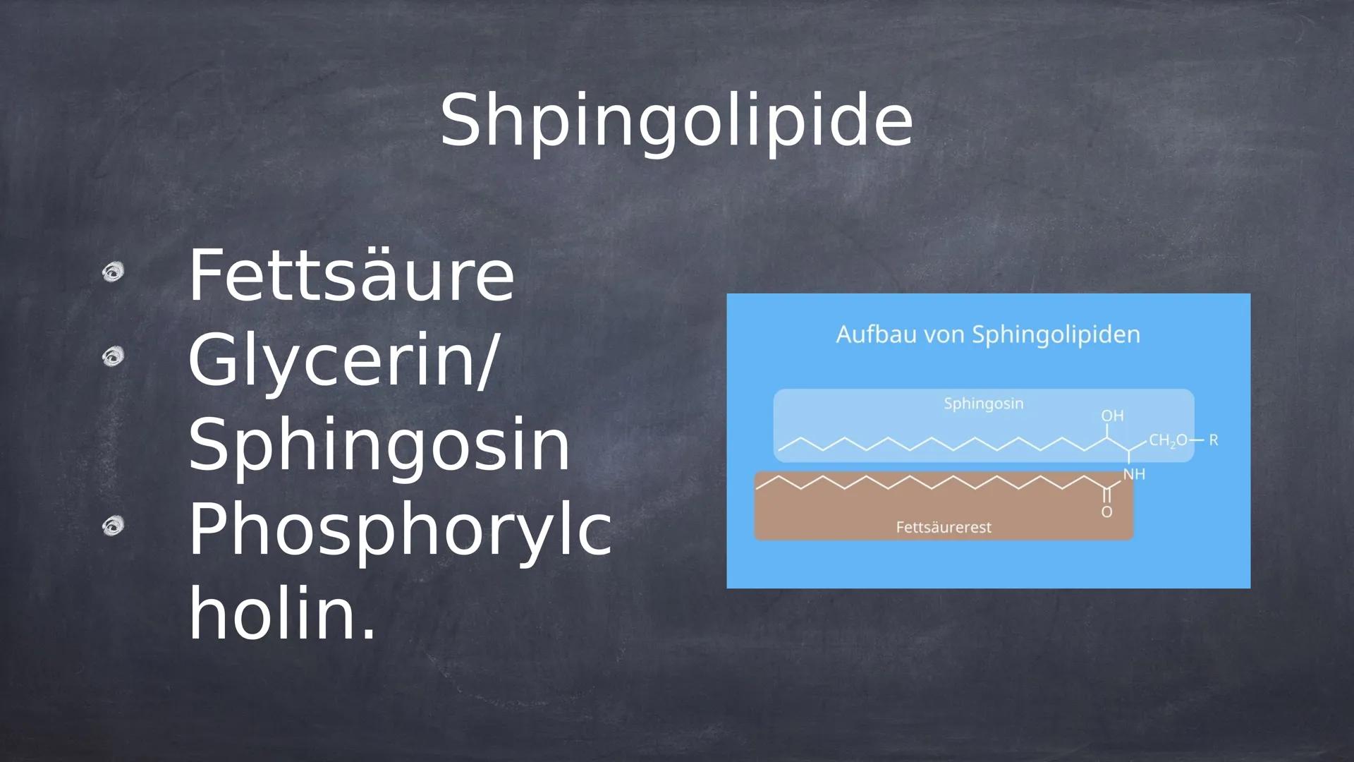 lipide Was sind Lipide?
Lipide sind in der Natur
vorkommende chemische
Verbindungen.
Lipide sind hydrophob und nicht in
Wasser löslich.
• Li