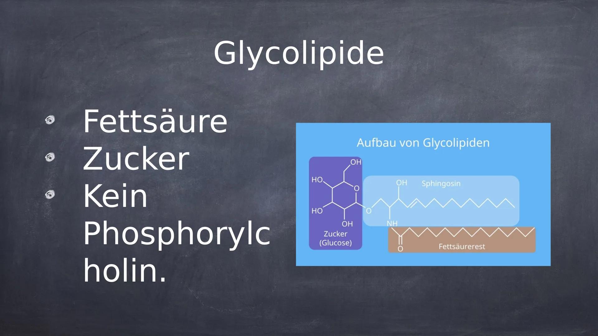 lipide Was sind Lipide?
Lipide sind in der Natur
vorkommende chemische
Verbindungen.
Lipide sind hydrophob und nicht in
Wasser löslich.
• Li