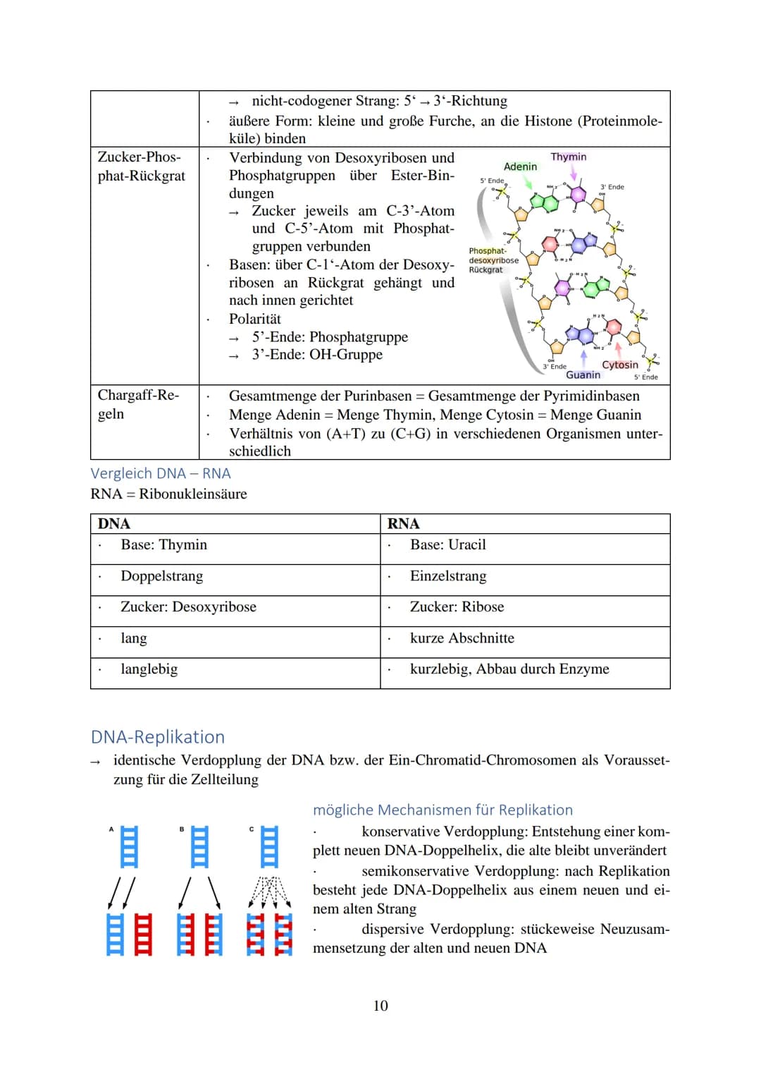 Inhalt
Chromosomen
Aufbau
Zellzyklus.
Interphase
Mitose...
Cytokinese.
Meiose ........
1. Reifeteilung.
2. Reifeteilung.
Ergebnis...
intrach