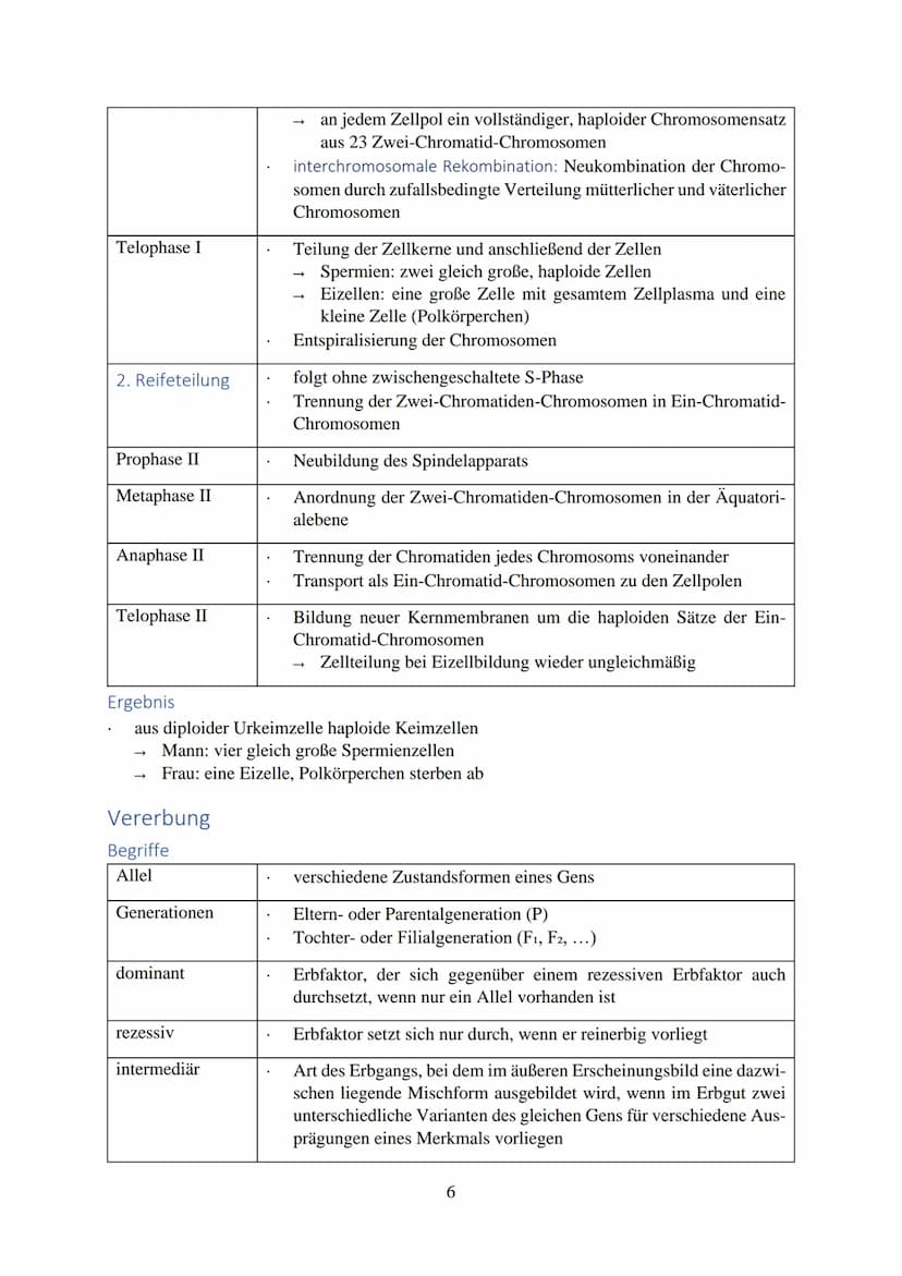 Inhalt
Chromosomen
Aufbau
Zellzyklus.
Interphase
Mitose...
Cytokinese.
Meiose ........
1. Reifeteilung.
2. Reifeteilung.
Ergebnis...
intrach