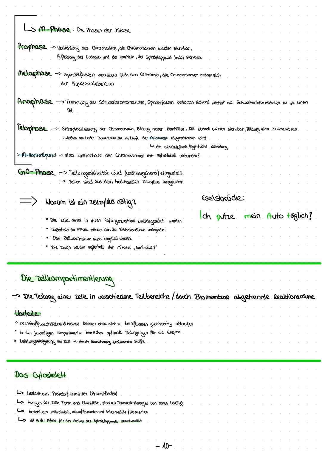Die Zelltheorie
• Alle Lebewesen bestehen aus Zellen
Alle Zellen sind in ihrem Grund bauplan und Stoffwechsel im Wesentlichen gleich.
Alle Z