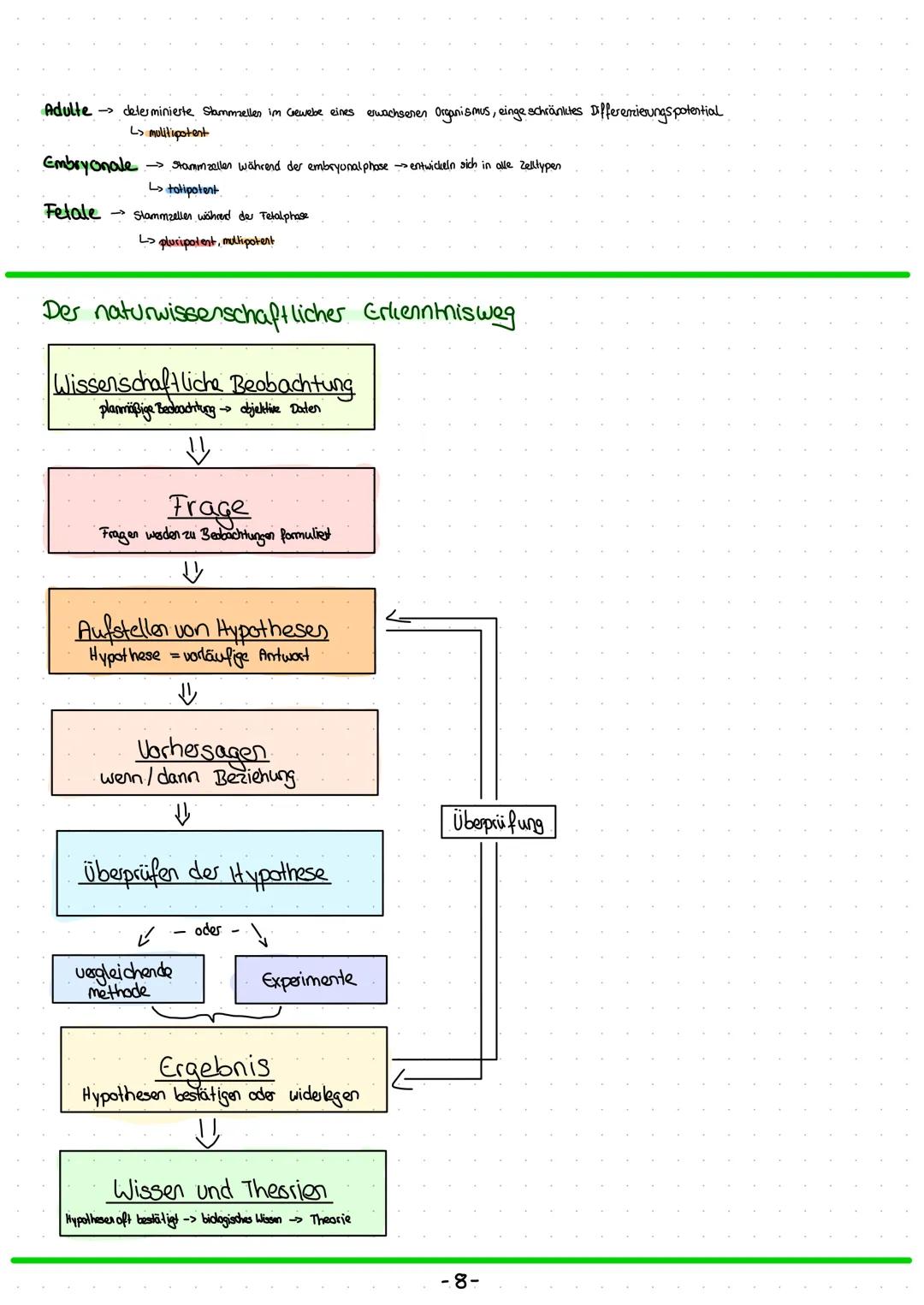 Die Zelltheorie
• Alle Lebewesen bestehen aus Zellen
Alle Zellen sind in ihrem Grund bauplan und Stoffwechsel im Wesentlichen gleich.
Alle Z