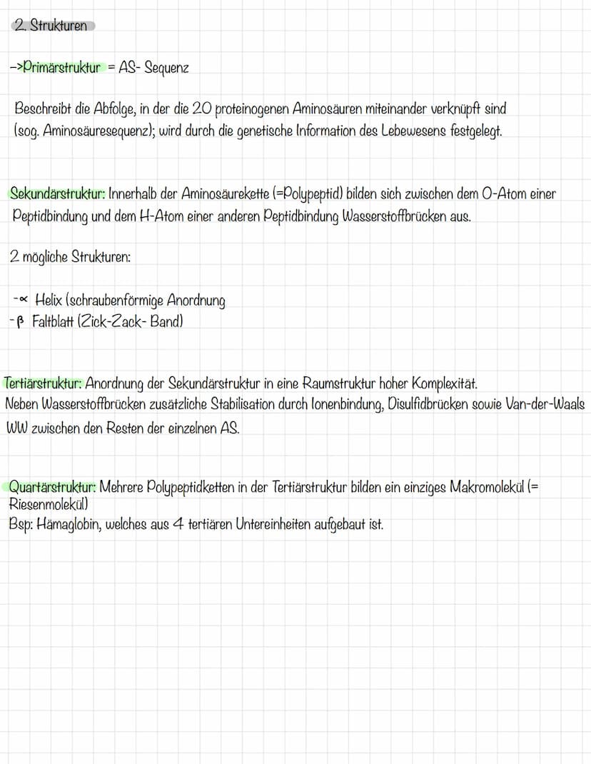 1. Aufbau der Proteine aus AS
AS-Aminosäure
genauer Aminocarbonsäure
H
H
Aminogruppe
H₂O
+n As
H
-n H₂0
R
H
Wir kennen 20 verschiedene prote