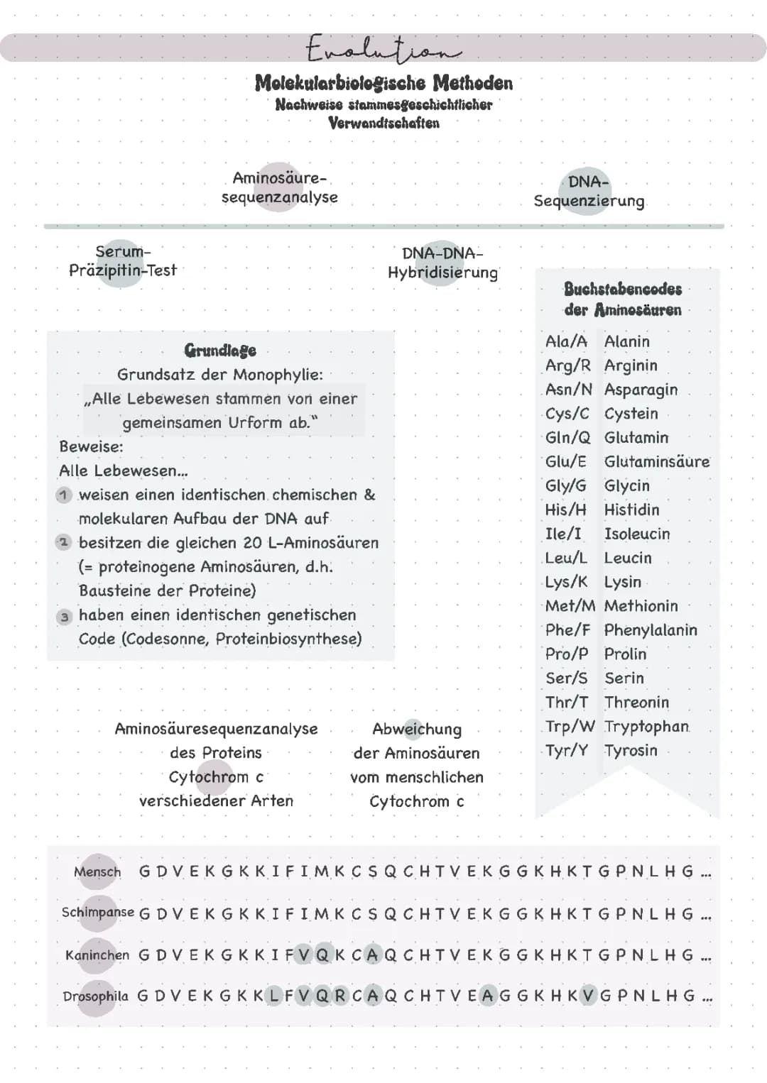 Aminosäuresequenzanalyse - Abi 