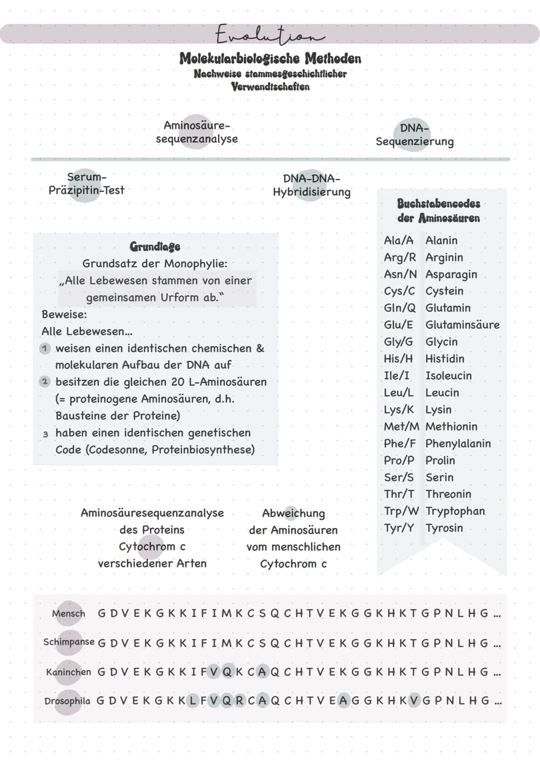 Serum-
Präzipitin-Test
Evolution
Molekularbiologische Methoden
Nachweise stammesgeschichtlicher
Aminosäure-
sequenzanalyse
Grundlage
Grundsa