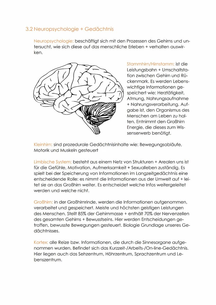 Pädagogik/Psychologie
Band 1
Lernbereich 1: Wesenszüge wissenschaftlicher Pädagogik + Psy-
chologie begreifen
1. Grundfrage der Pädagogik + 
