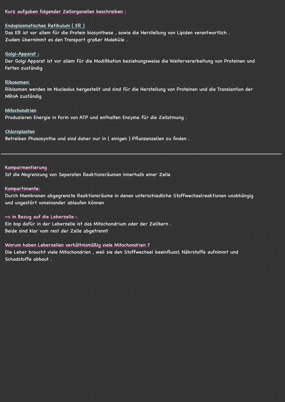 —PFLANZLICHE ZELLE
Cytoplasma
ER
Zell hern
Mitochondrien
Ribosomen
Golgi-Apparat
I
-TIERISCHE ZELLE
CILL
Ribosomen'
Cytoplasma
D
Golgi Appar