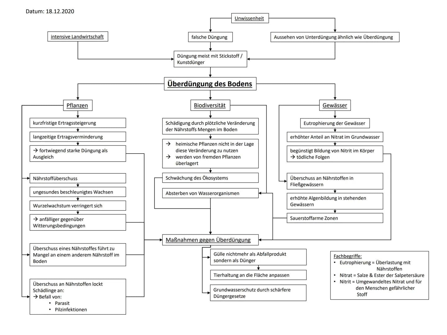 Datum: 18.12.2020
intensive Landwirtschaft
Pflanzen
kurzfristige Ertragssteigerung
langzeitige Ertragsverminderung
→ fortwiegend starke Düng