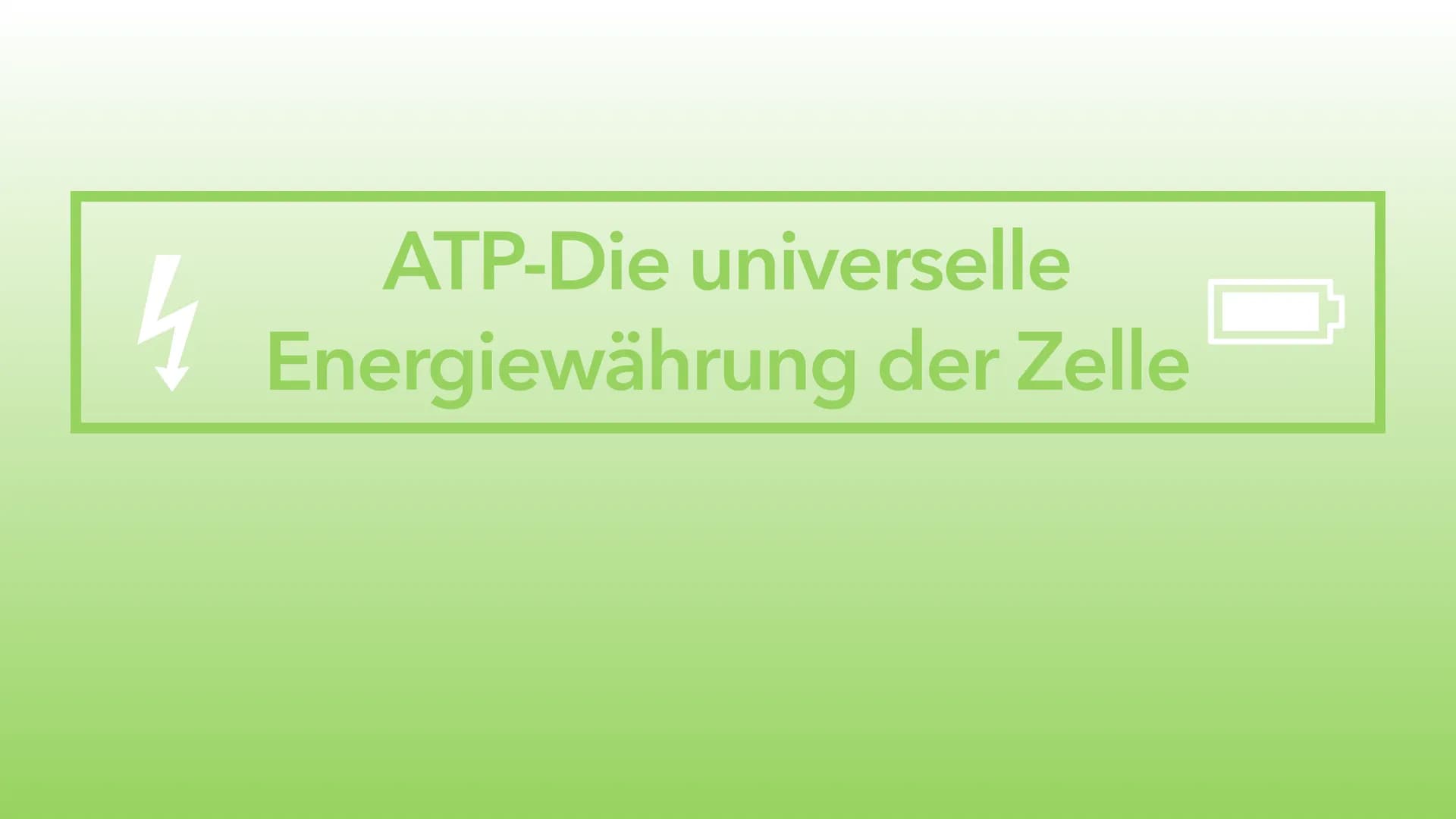 4
ATP-Die universelle
Energiewährung der Zelle Die Energie des Universums ist konstant, sie kann weder erzeugt noch vernichtet
werden - nur 