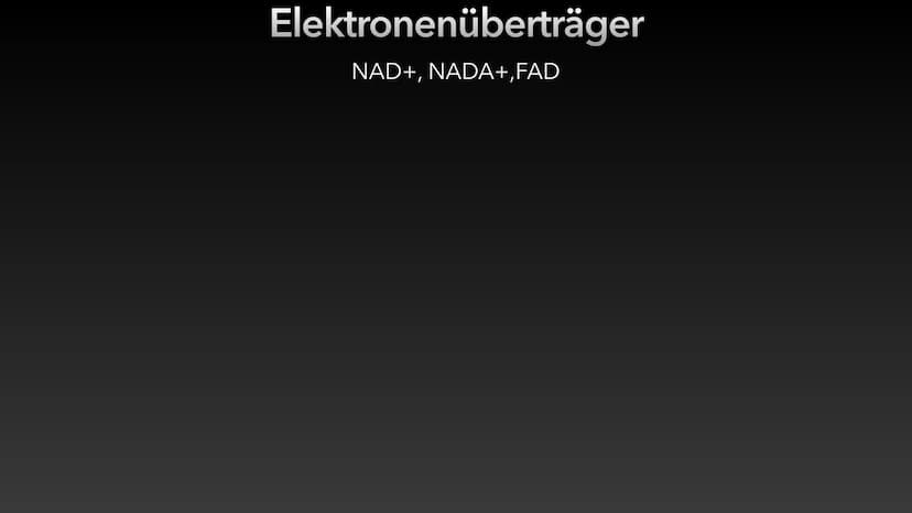 4
ATP-Die universelle
Energiewährung der Zelle Die Energie des Universums ist konstant, sie kann weder erzeugt noch vernichtet
werden - nur 