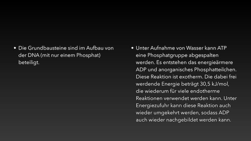 4
ATP-Die universelle
Energiewährung der Zelle Die Energie des Universums ist konstant, sie kann weder erzeugt noch vernichtet
werden - nur 