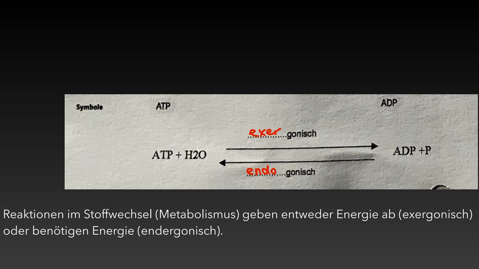 4
ATP-Die universelle
Energiewährung der Zelle Die Energie des Universums ist konstant, sie kann weder erzeugt noch vernichtet
werden - nur 