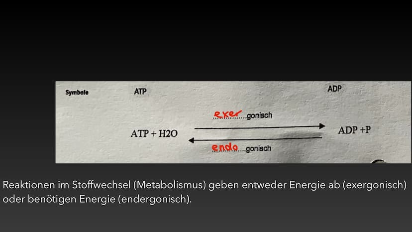 4
ATP-Die universelle
Energiewährung der Zelle Die Energie des Universums ist konstant, sie kann weder erzeugt noch vernichtet
werden - nur 