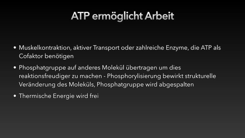 4
ATP-Die universelle
Energiewährung der Zelle Die Energie des Universums ist konstant, sie kann weder erzeugt noch vernichtet
werden - nur 