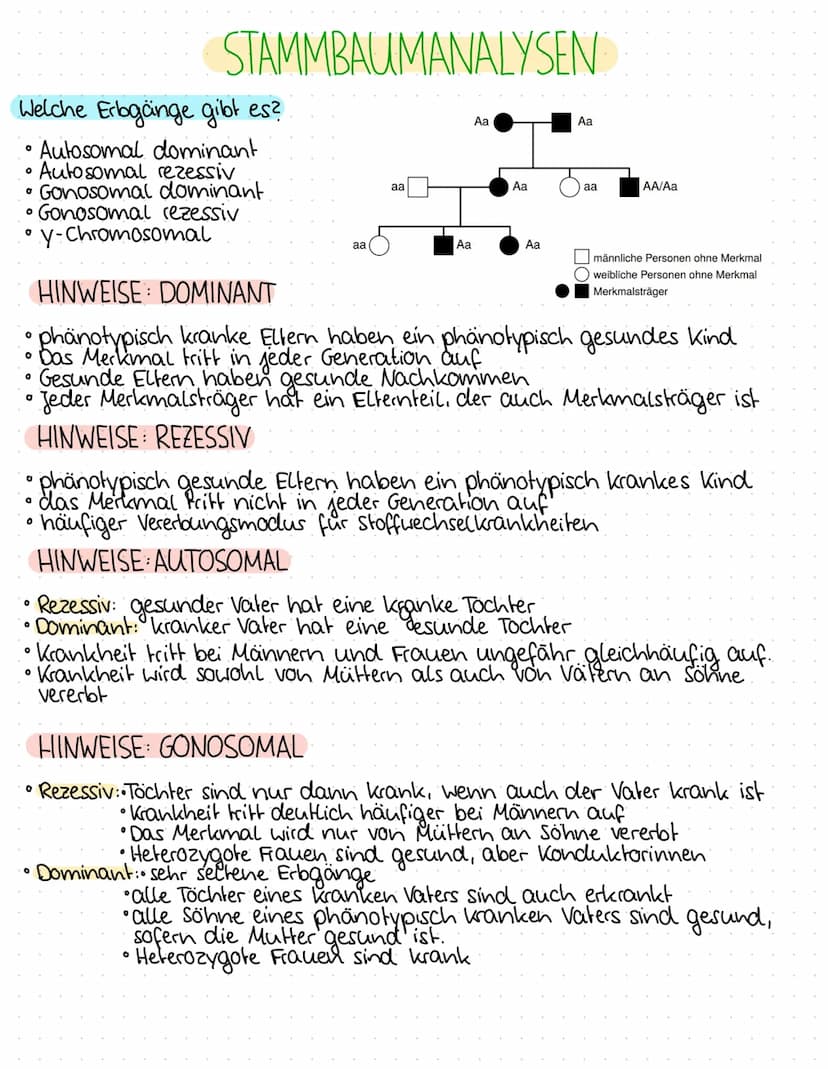 0
0
O
O
0
0
1.BIOLOGIEKLAUSUR - 2. HALBJAHR
Ergebnis: 14 P
THEMEN
GENTECHNIK
Aufbau Plasmid / Vektor
Grundoperationen der Gentechnik
↳> Isol