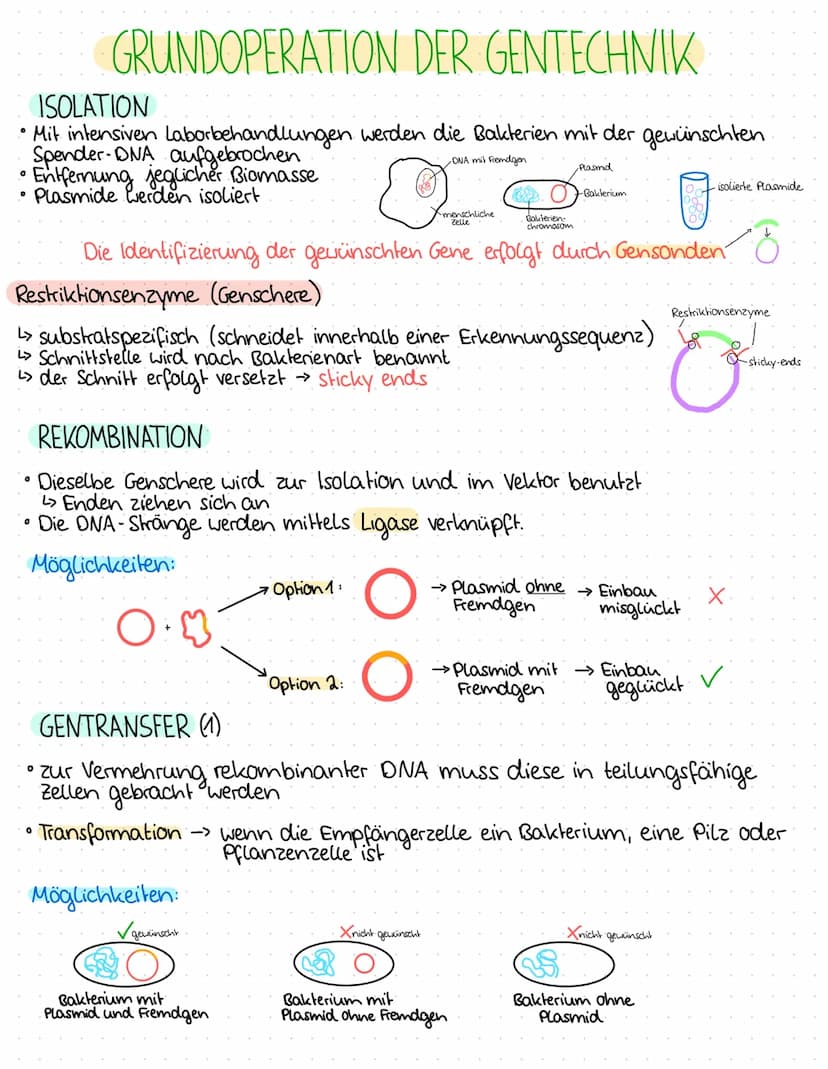 0
0
O
O
0
0
1.BIOLOGIEKLAUSUR - 2. HALBJAHR
Ergebnis: 14 P
THEMEN
GENTECHNIK
Aufbau Plasmid / Vektor
Grundoperationen der Gentechnik
↳> Isol
