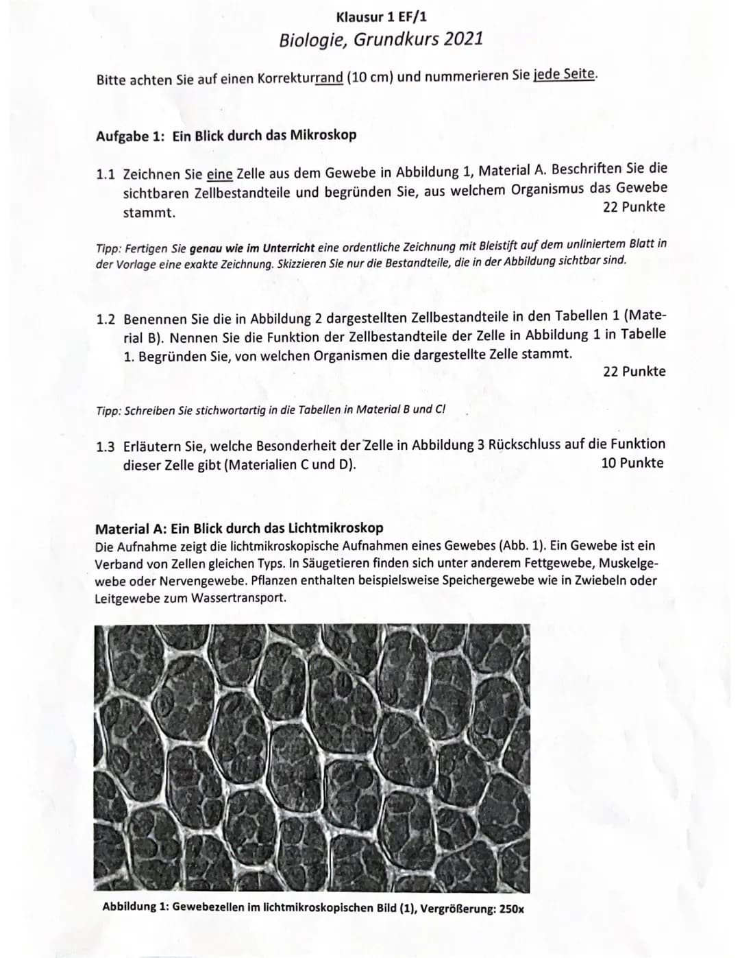 Klausur 1 EF/1
Biologie, Grundkurs 2021
Bitte achten Sie auf einen Korrekturrand (10 cm) und nummerieren Sie jede Seite.
Aufgabe 1: Ein Blic
