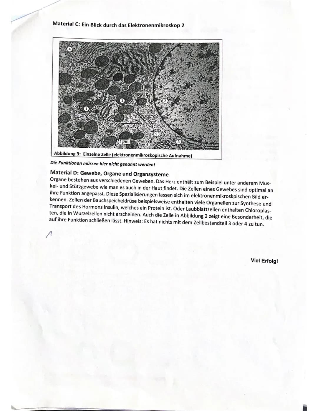 Klausur 1 EF/1
Biologie, Grundkurs 2021
Bitte achten Sie auf einen Korrekturrand (10 cm) und nummerieren Sie jede Seite.
Aufgabe 1: Ein Blic